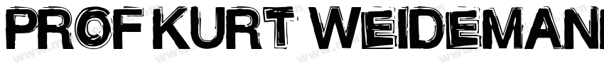 PROF KURT WEIDEMANN字体转换